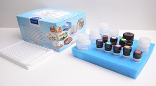 β-Hydroxybutyrate Assay Kit