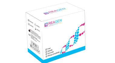 HemaFus BCR-ABL1融合基因P210型高靈敏度檢測試劑盒 （PCR-熒光探針法）